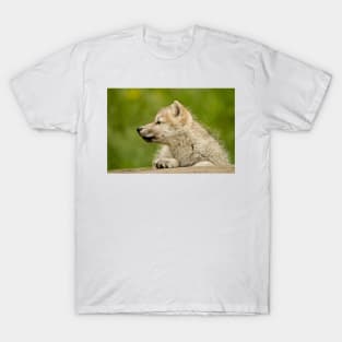 Arctic Wolf Pup T-Shirt